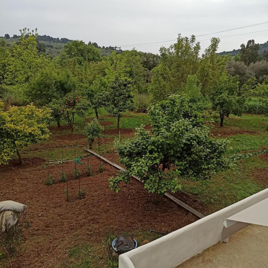 Εξοχική Κατοικία - Cottage Τίνα Liri Exterior photo